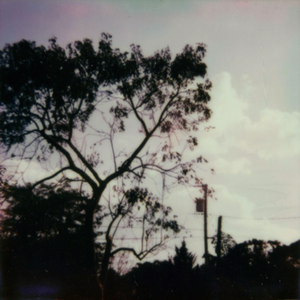 日本人玩胸吃乳30分钟
